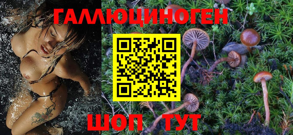 Псилоцибиновые грибы Magic Shrooms Красноармейск