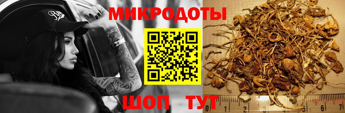Галлюциногенные грибы MAGIC MUSHROOMS  Галлюциногенные грибы GOLDEN TEACHER  Вход с VPN  Красноармейск 